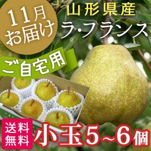 フルーツ ラフランス 山形県産ラフランス食べ切りセット 秀Ｌ５〜６個 送料無料｜yamagatamaru