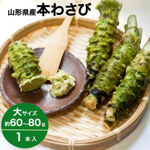 わさび 本わさび 1本 大サイズ 約60〜80g 山形 東根 大富農産 wasabi 山葵 クール便...