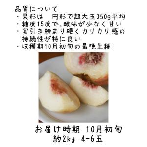 10月初めお届け 桃 特大 硬い桃 硬おもい ...の詳細画像3