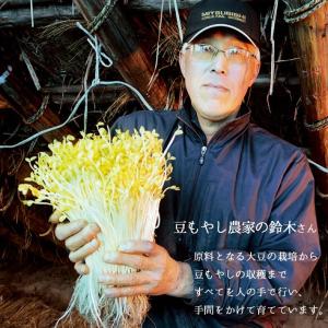 小野川温泉の豆もやし300g x 2袋 業務用...の詳細画像1