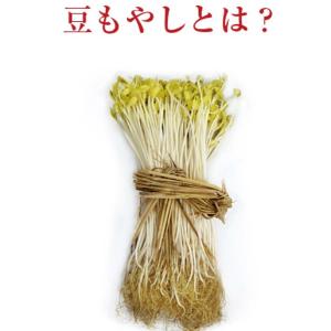 小野川温泉の豆もやし300g x 2袋 業務用...の詳細画像2