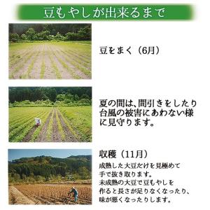 小野川温泉の豆もやし300g x 2袋 業務用...の詳細画像4