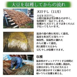 小野川温泉の豆もやし300g x 2袋 業務用...の詳細画像5