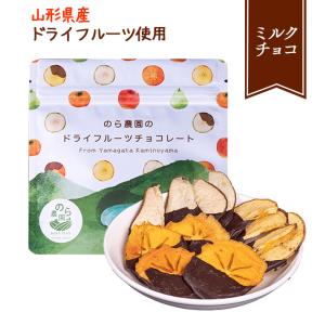 チョコレート チョコ スイーツ プチギフト バレンタイン ミックスドライフルーツのチョコレートがけ 50gx1袋(ミルクチョコ味) のら農園｜yamagatamaru