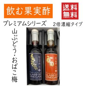 お酢 飲むお酢 飲む酢 2倍濃縮タイプ 柿酢 2本化粧箱入 送料無料 山ぶどうｘおばこ梅 フルーツ酢 果実酢 健康酢 マルノー食品