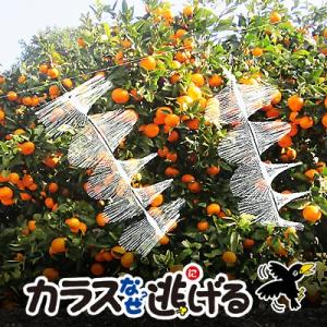 カラス撃退 カラスなぜ逃げる?園芸用2個セット 家庭菜園 畑 設置簡単