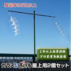 カラス撃退 カラスなぜ逃げる?園芸用2個セット 家庭菜園 畑 設置簡単