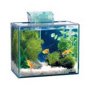 水槽×3　他セット 水槽3点その他セット