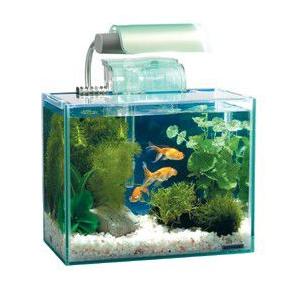 送料無料 フレームレス水槽 コトブキ アクアスタイルm 4点ライトセット Aquastylem4 ヤマゲンペットyahoo 店 通販 Yahoo ショッピング
