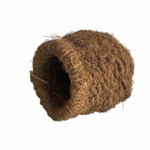 川井『ココナッツ　ツボ巣（大）』