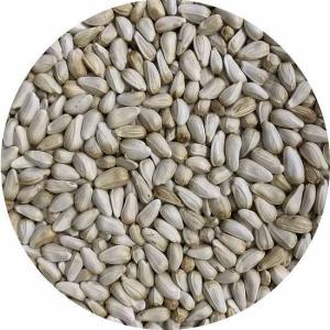 サフラワー 1kg(紅花の実)の詳細画像1