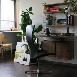 string(ストリング)壁掛け食器棚 「system BASIC KITCHEN 02