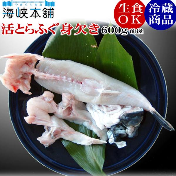 朝獲れ活締めとらふぐ身欠き（1kgサイズ国産とらふぐ使用）生食可 約600g前後 3〜4人前 ふぐ刺...
