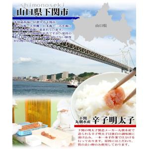 辛子明太子 並切れ子500g 送料無料 ばらこ...の詳細画像1