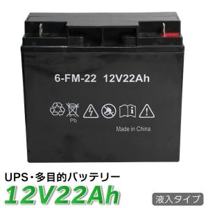 VRLA 制御弁式 UPS バッテリー 12V22Ah 無停電電源装置 小形制御弁式鉛蓄電池