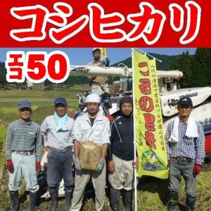 【山口県】【周南市八代】【エコ５０認証米】【減農薬栽培】【生産者直詰】つるの里米こしひかり（精米）１０ｋｇ(10000219)｜yamaguchikaiseidou