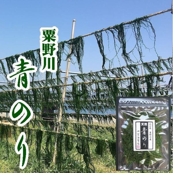 【送料無料】【希少】粟野川のすじ青のり原藻8ｇ【山口県】【下関市豊北町】【内富海苔店】【青海苔】【メ...