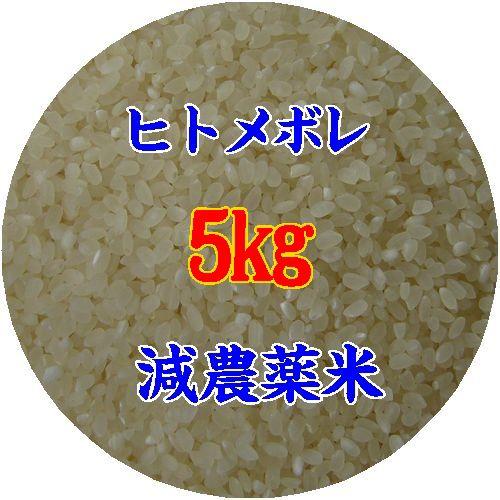 【山口県】【周南市八代】【エコ５０認証米】【減農薬栽培】【生産者直詰】【２４年度産】つるの里米・ひと...