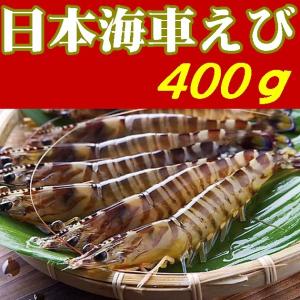＊えび＊ 送料無料】【日本海車えび】【山口県】【長門市油谷】【楊貴妃伝説の里