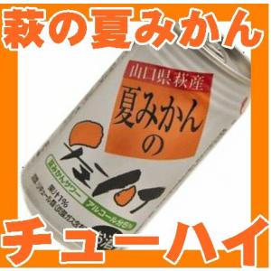 北海道限定 箱付き 長期熟成 ブランデー 仕込み 梅酒 島梟 梅 32年