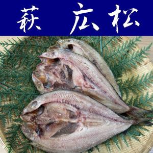 【送料無料】【萩の干物】北海道産ほっけ昆布干し６尾【山口県】【萩・広松】【産地直送】　※別途送料、東北500円、北海道1000円・沖縄、離島不可※