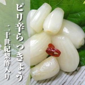 【送料無料】【冷蔵】ピリ辛らっきょう　二十世紀梨酢入り※別途送料、東北500円、北海道1000円、沖縄、離島不可※