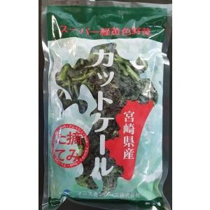 【冷凍野菜】冬摘みケール500ｇ【バラ凍結】【宮崎県産】【学校給食】【国産】｜yamaguchikaiseidou