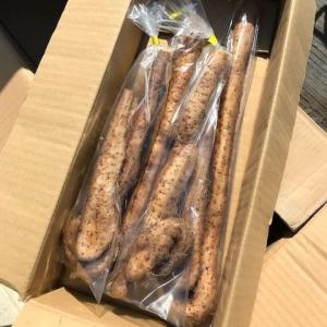 山口県産【送料無料】『自然薯（自生種）1kg』（山芋、じねんじょ