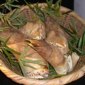 予約販売) 朝掘り筍(たけのこ) 4kg(約4〜5本) (※アク抜き 予約販売) 朝掘り筍(たけのこ) 4kg(約4〜5本) (※アク抜き
