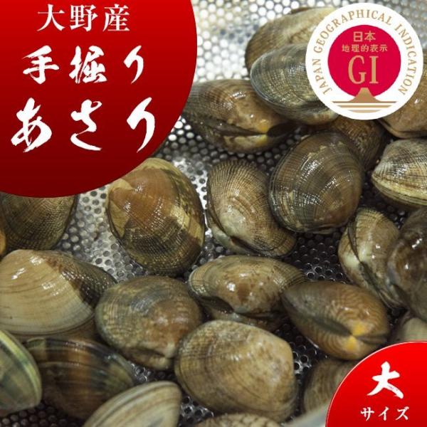 【広島直送】広島瀬戸内産「手掘り 大野あさり」【大３kg】