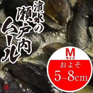 【濱水直送】周防大島産「天然　活きムール貝　Ｍサイズ１kg」