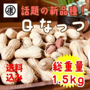 さや煎り落花生 Ｑなっつ 1.5kg (500g×3袋) 令和5年産 千葉県産　お歳暮　お中元｜落花生とお米の専門卸ヤマハン