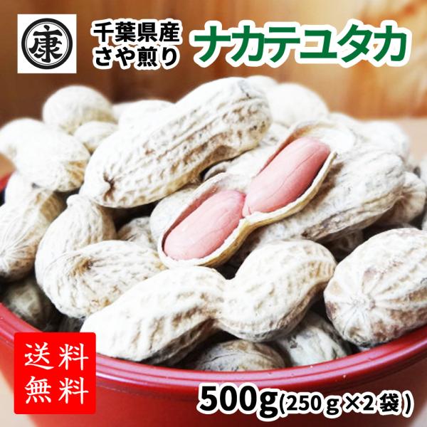 千葉県産 落花生 ナカテユタカ 殻付き 500g（250g×2袋）お中元　お歳暮