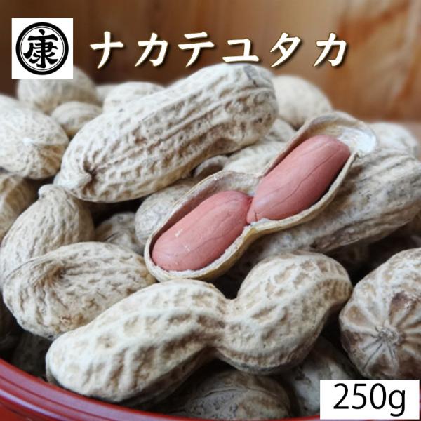 千葉県産 落花生 ナカテユタカ 殻付き 250g（250g×1袋）令和7年産　