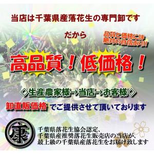 千葉県産 煎りたて ナカテユタカの味付落花生 ...の詳細画像5