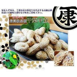 さや煎り落花生 千葉県産 千葉半立 殻付き 5...の詳細画像1