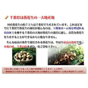 さや煎り落花生 千葉県産 千葉半立 殻付き 5...の詳細画像3