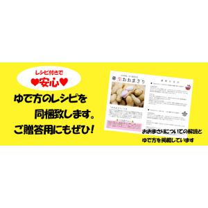 【早割】旬の味覚!令和8年産 ゆで落花生用 生...の詳細画像3