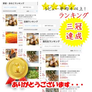 【早割】旬の味覚!令和8年産 ゆで落花生用 生...の詳細画像2