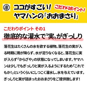 【早割】旬の味覚!令和8年産 ゆで落花生用 生...の詳細画像4