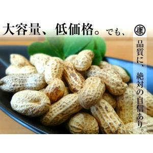 千葉県産落花生 千葉半立 殻付き 1kg (5...の詳細画像2