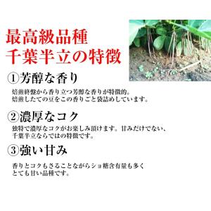 千葉県産落花生 千葉半立 殻付き 1kg (5...の詳細画像3