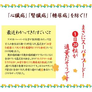 千葉県産落花生 千葉半立 殻付き 1kg (5...の詳細画像5