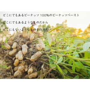 千葉県産落花生100%使用 ピーナッツバター ...の詳細画像3