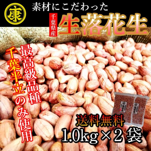 生落花生 むき実 2kg 高級品種 千葉半立のみ使用  千葉県産　令和7年産　