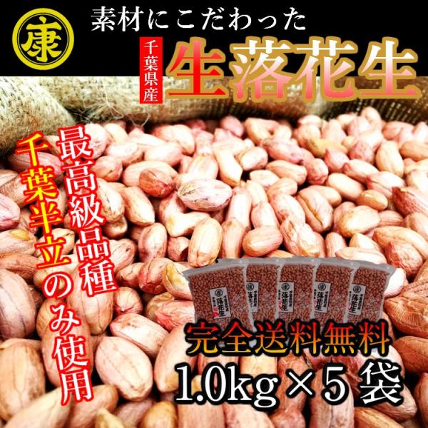 生落花生 むき実 5kg 高級品種 千葉半立のみ使用  千葉県産　令和7年産　