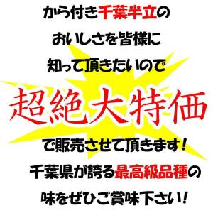 千葉県産千葉半立 さや煎り落花生200g(10...の詳細画像1