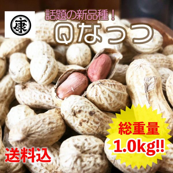 さや煎り落花生 Ｑなっつ 1.0kg (500g×2袋) 千葉県産　贈答品　お年賀