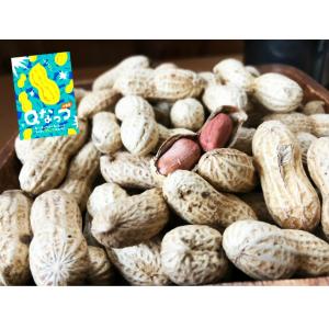 さや煎り落花生 Qなっつ 1.0kg (500...の詳細画像2