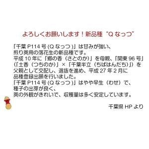 さや煎り落花生 Qなっつ 1.0kg (500...の詳細画像3